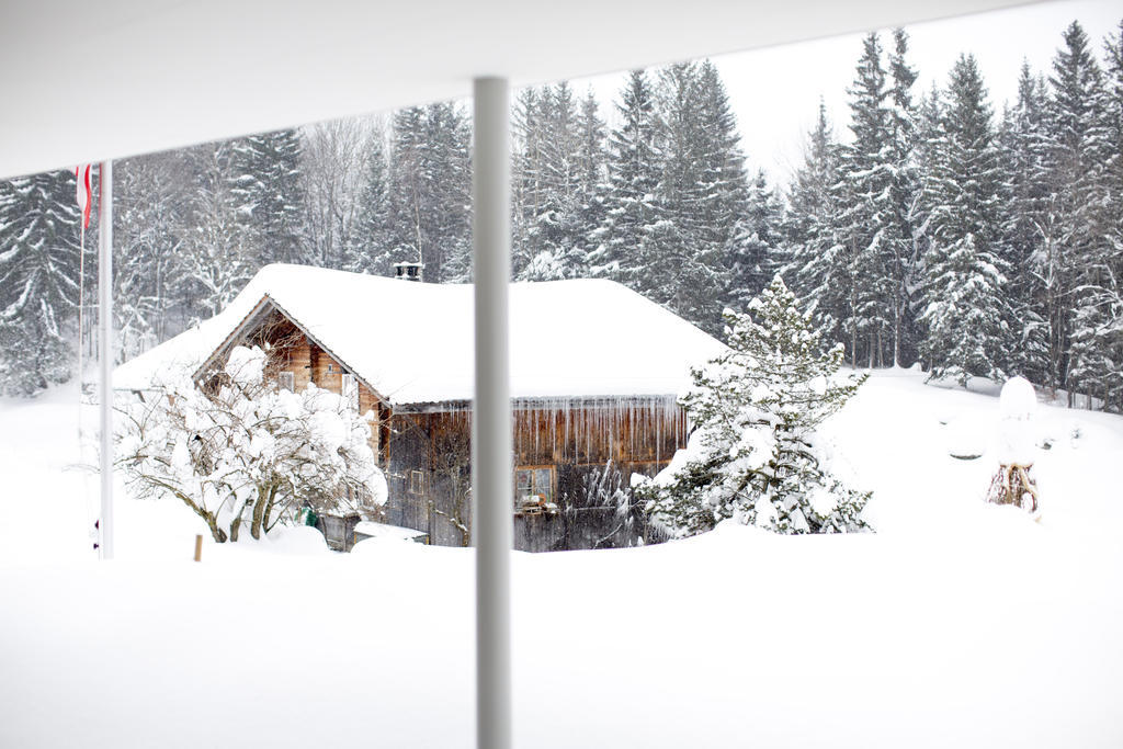 Chalet Bergoase Hasliberg Exteriör bild
